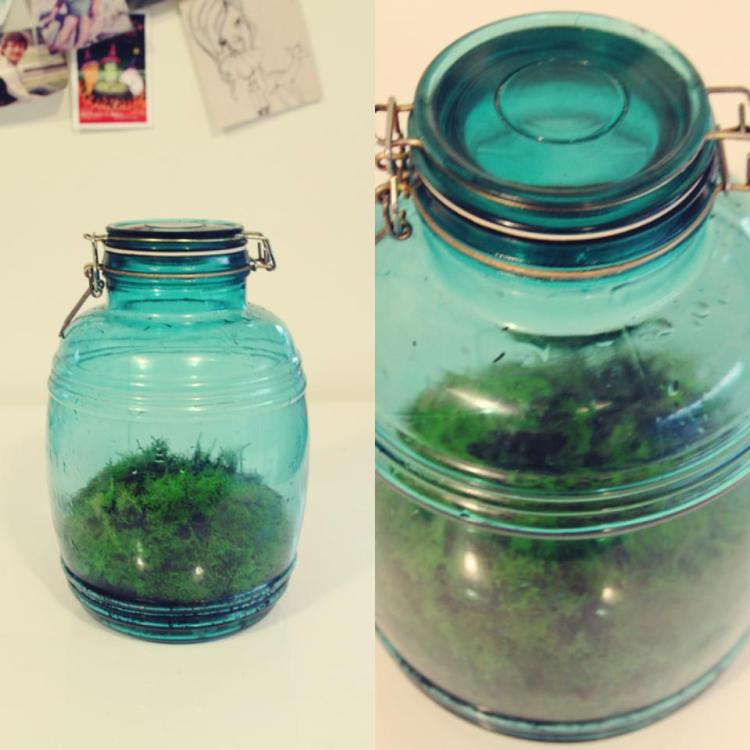 13175_150967371724865_1309824876_n