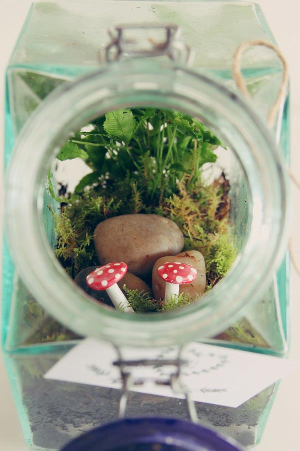 311190_128608040627465_102352112_n