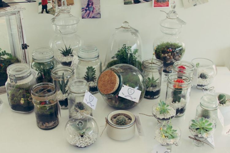 311413_125766977578238_625826012_n