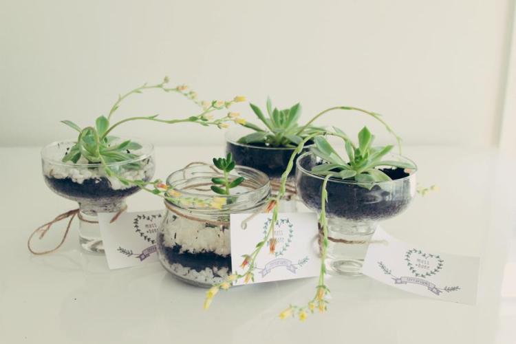 401294_128608137294122_2131858146_n