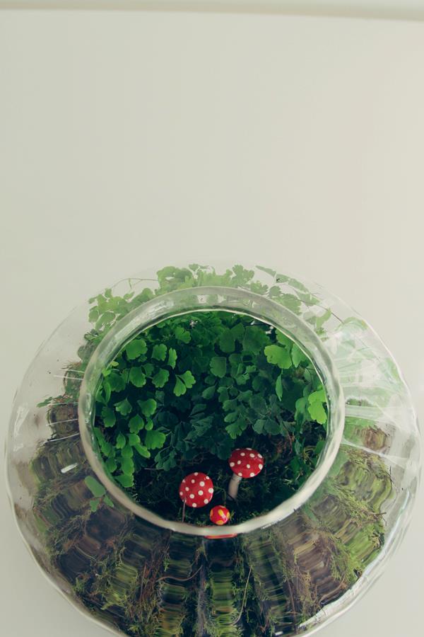 526697_128608117294124_1433133272_n