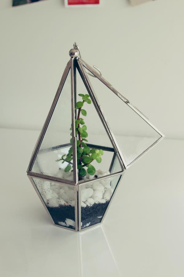 526900_128608247294111_1774786441_n