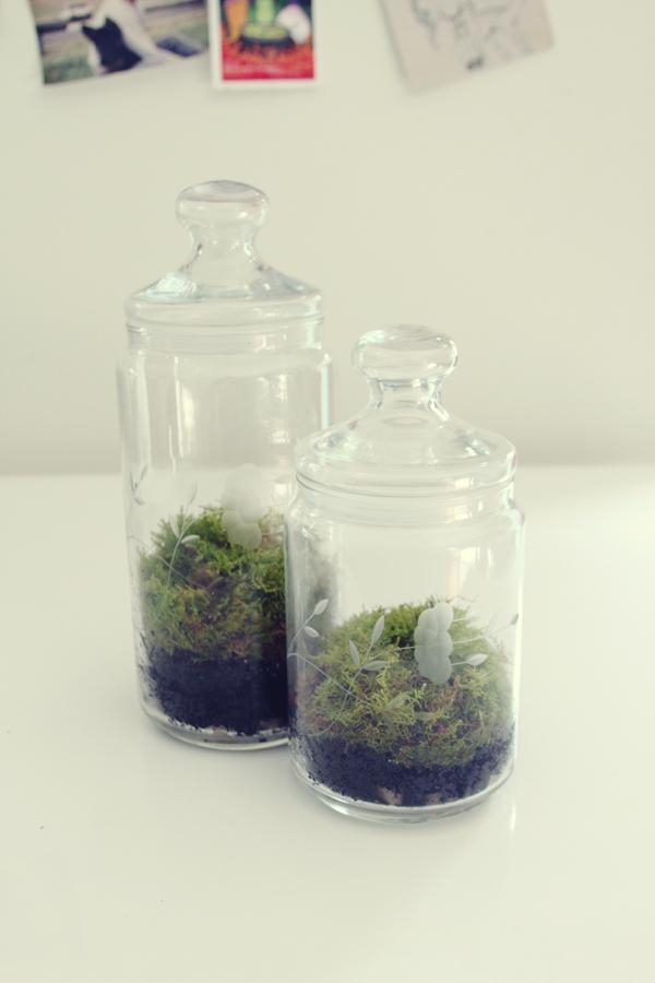 530942_158009034354032_1184204253_n