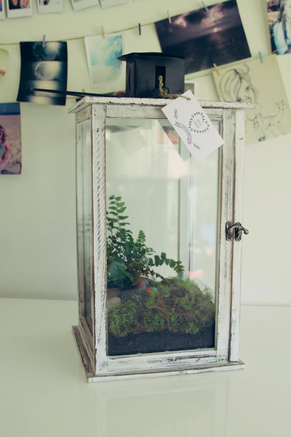 598457_125767350911534_1196941764_n