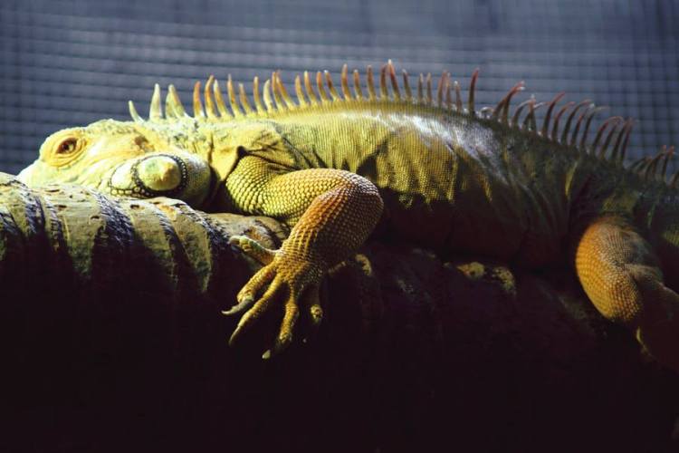 1005966_10151449807526440_1163275427_n