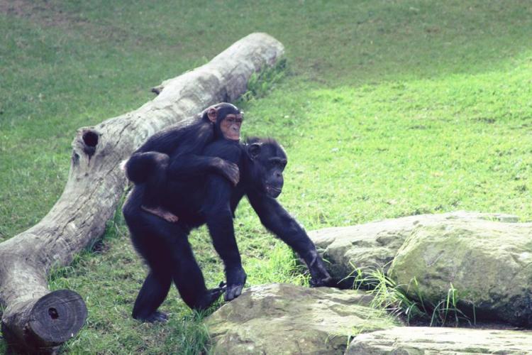 10813_10151449812946440_99175425_n