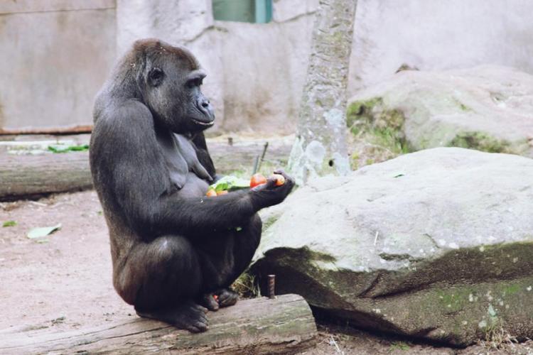 935201_10151449826311440_1634188226_n