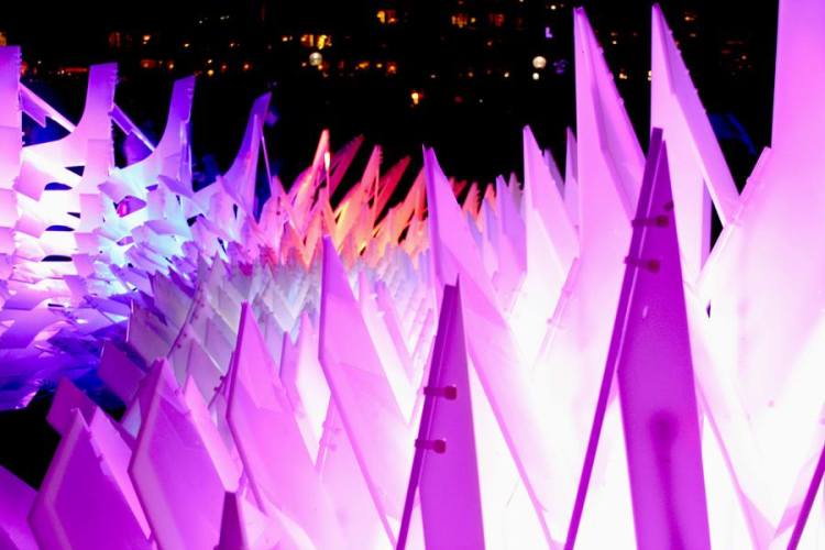 935909_10151449824056440_2110150570_n