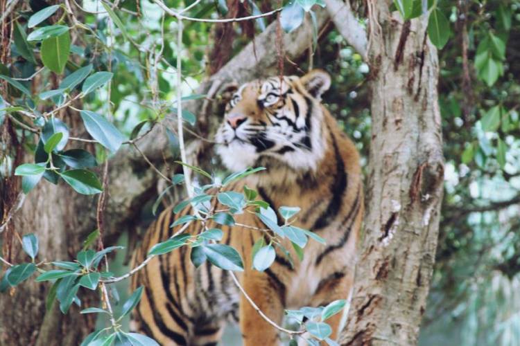 935932_10151449821606440_1908965989_n