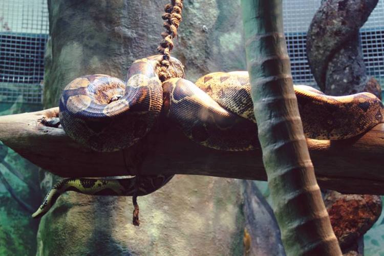 971085_10151449807546440_2083789291_n