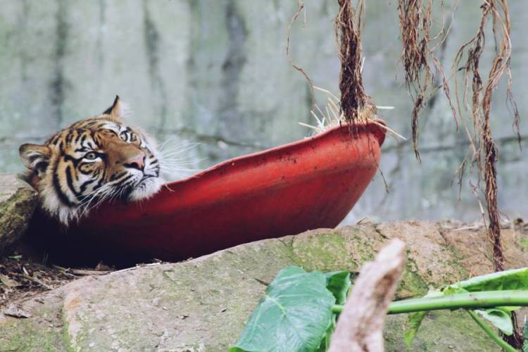 971238_10151449823751440_1493227455_n