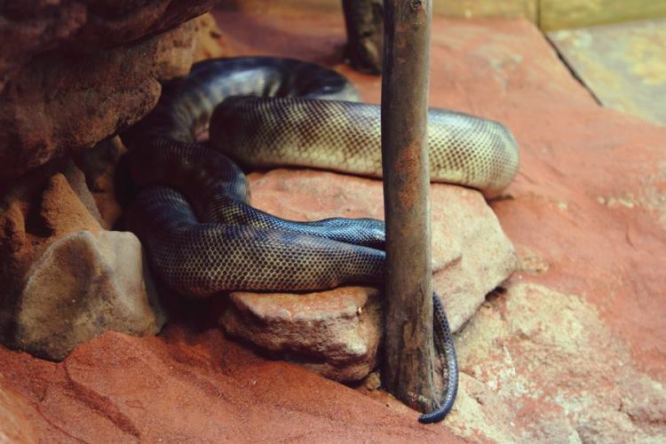 993088_10151449808401440_626429386_n