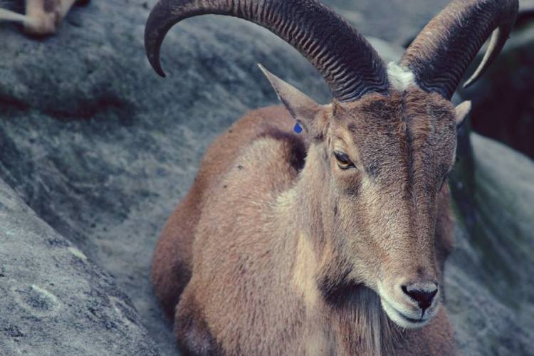 993526_10151449813281440_1967971665_n