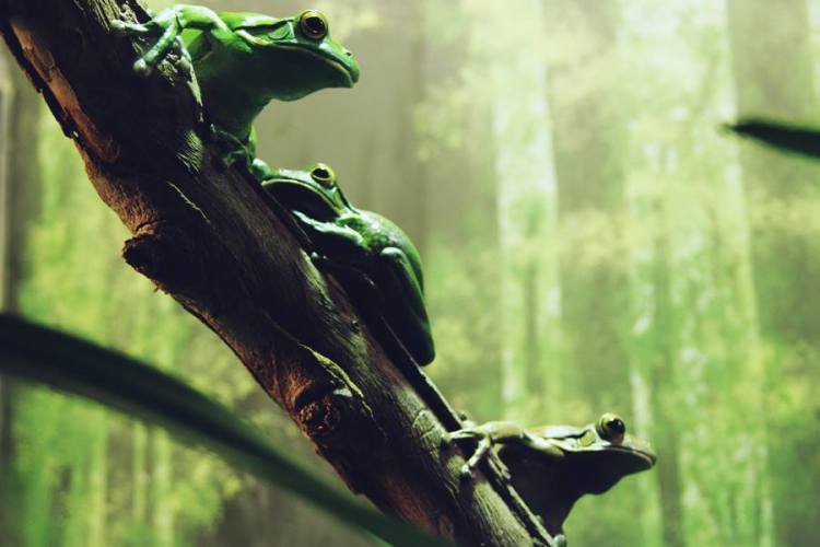 999392_10151449806196440_1874805228_n