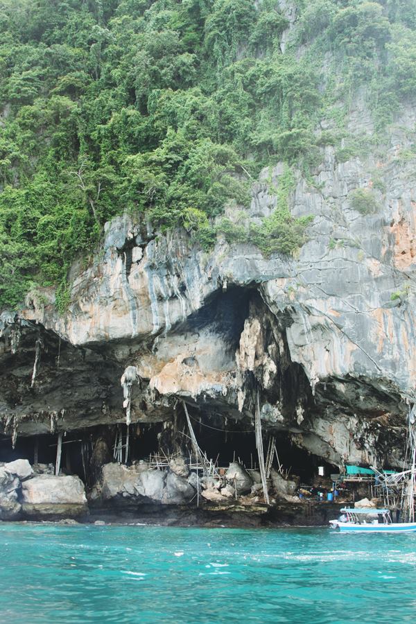 1000581_10151567267531440_234338767_n