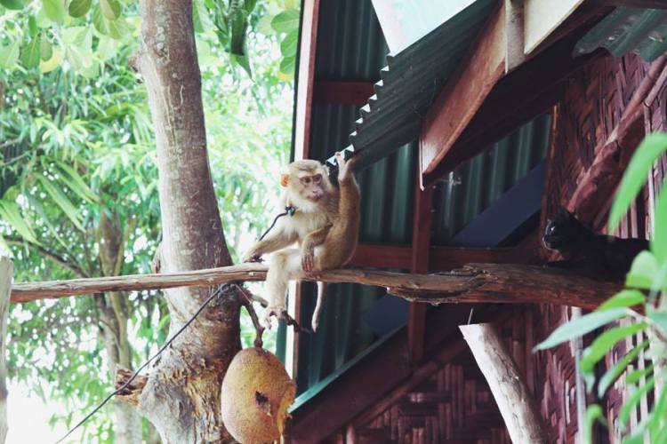 1001573_10151567270246440_57961562_n