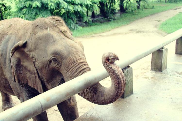 11179_10151569024056440_1736064442_n