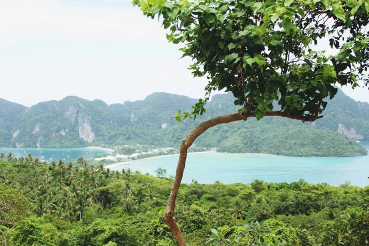 1148988_10151567270776440_1999427439_n