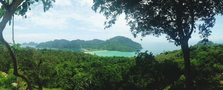 1150408_10151567271566440_1147002406_n