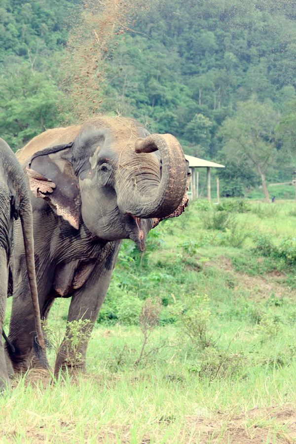 1170956_10151569020306440_725096509_n