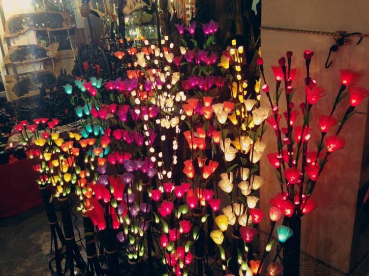 531853_10151567274796440_1467691836_n