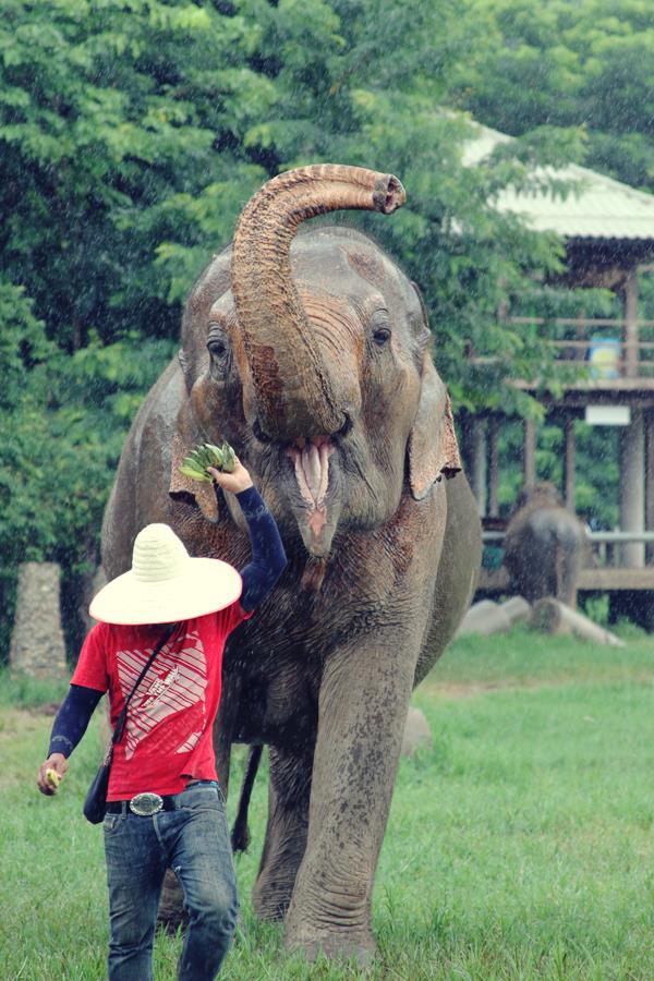 534007_10151569019396440_361409490_n