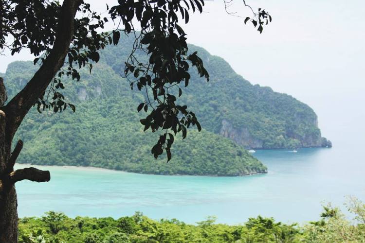 534008_10151567270716440_1613909428_n