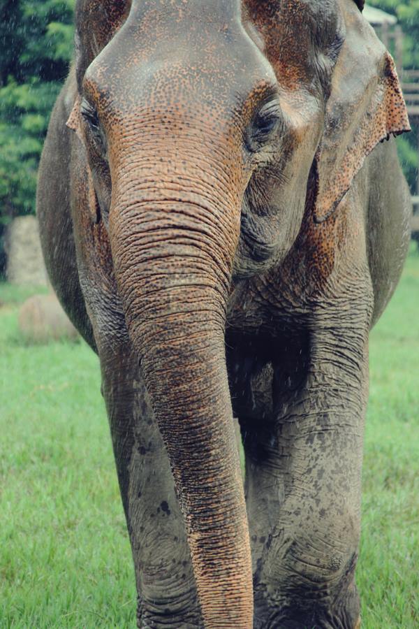 537213_10151569019451440_1420033738_n