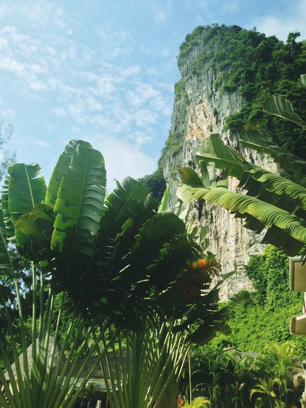 537226_10151567265591440_1588523707_n