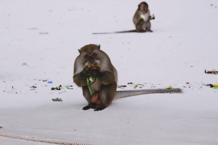 538260_10151567269181440_198096566_n