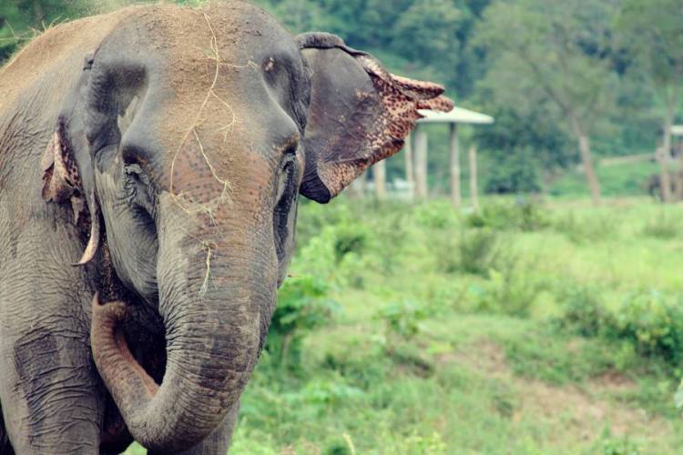 935941_10151569020441440_1470210672_n