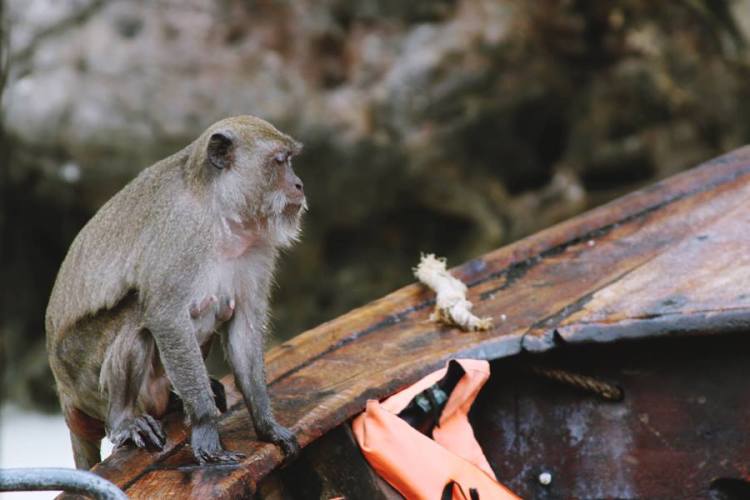 970027_10151567269021440_1235792773_n