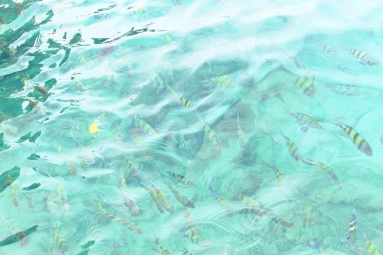 993971_10151567267586440_1491238981_n