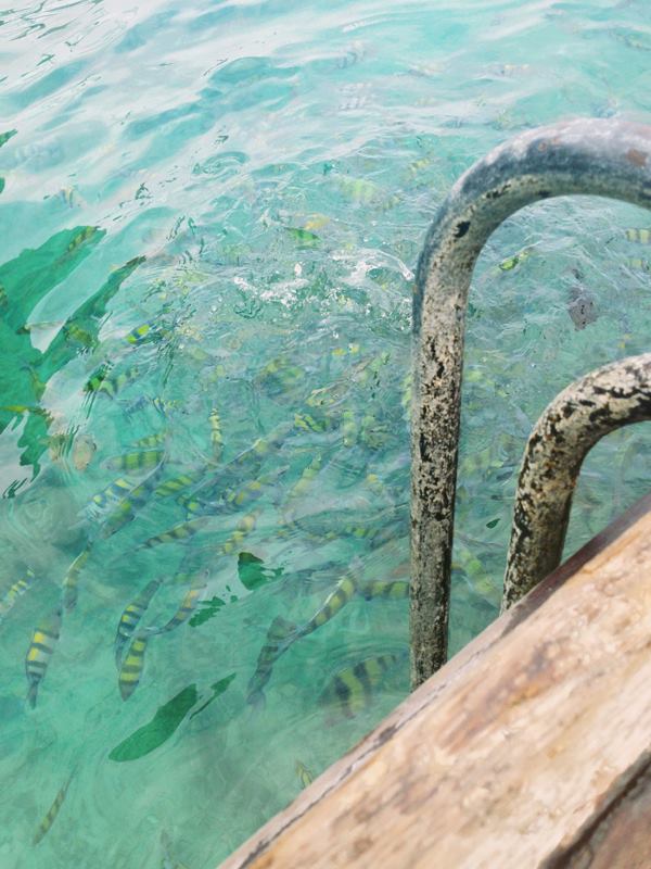 994320_10151567268421440_1112069048_n