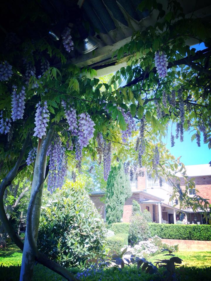 558927_10151675010246440_1585794143_n