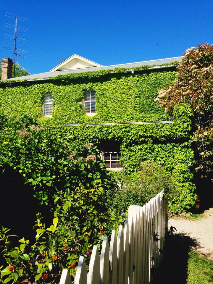 988726_10151674899086440_845934227_n