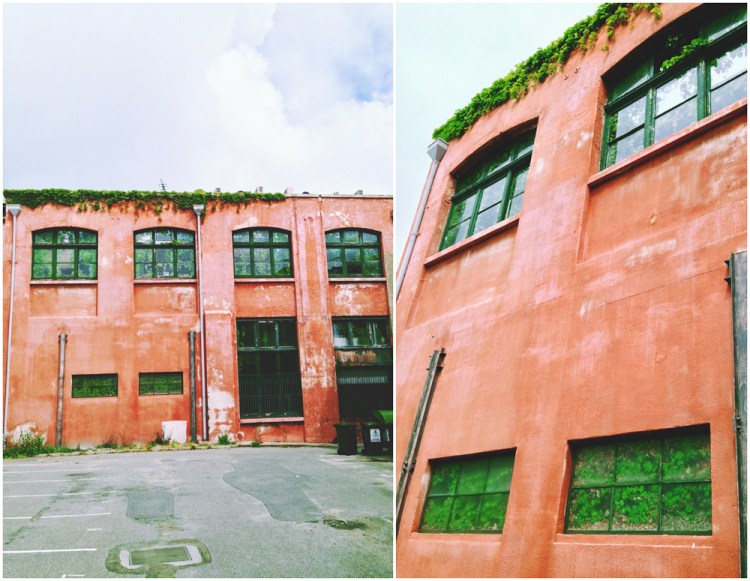 tumblr_muhyibRQsp1rnczwao1_1280