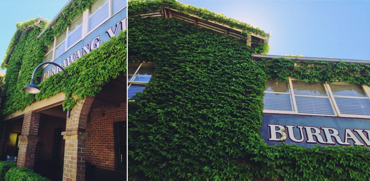 tumblr_mujy1h2XXX1rnczwao1_1280