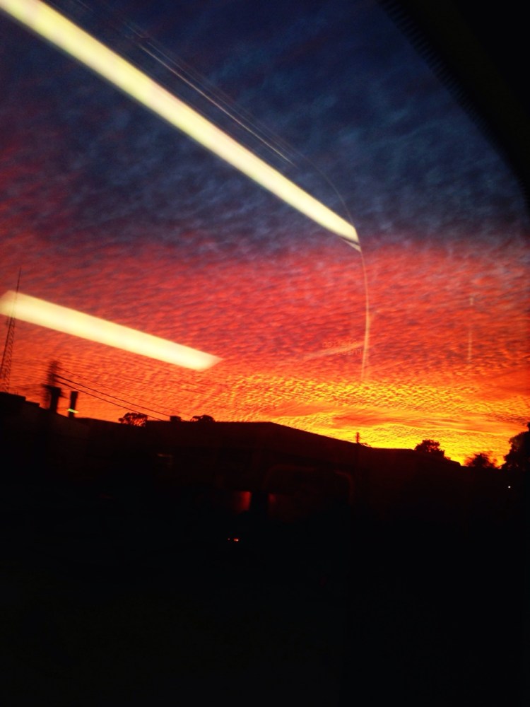 tumblr_n9gf2wslCK1rnczwao1_1280