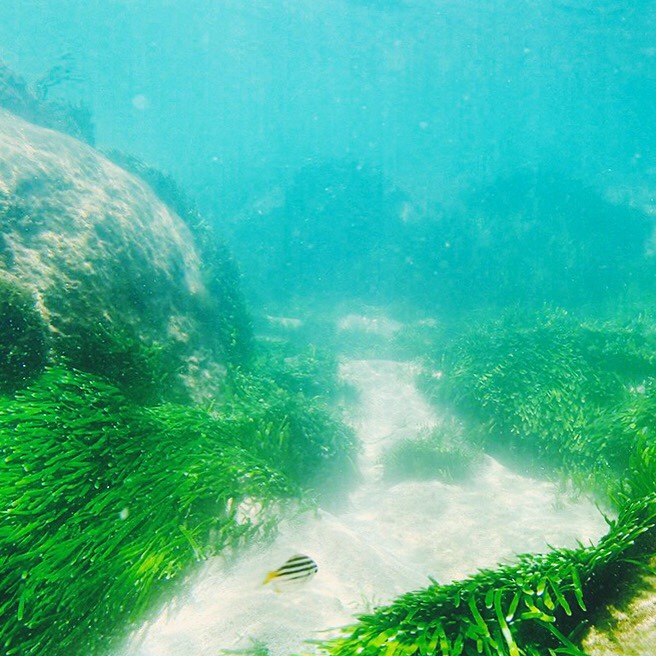 tumblr_nieo0fmQco1rnczwao4_1280