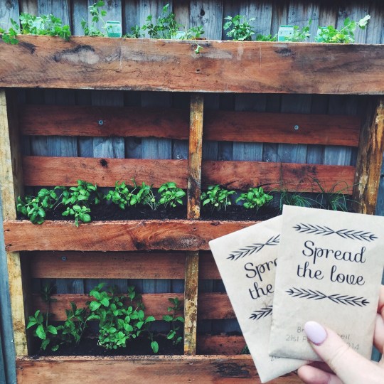 tumblr_nj45c5gMuf1rnczwao1_1280