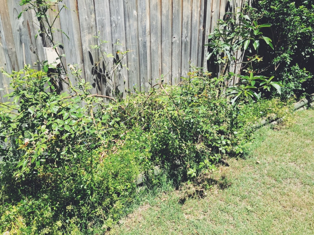 tumblr_nj45lo5U3v1rnczwao1_1280