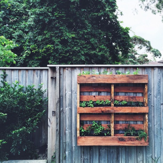 tumblr_nj45n8hJbC1rnczwao1_540