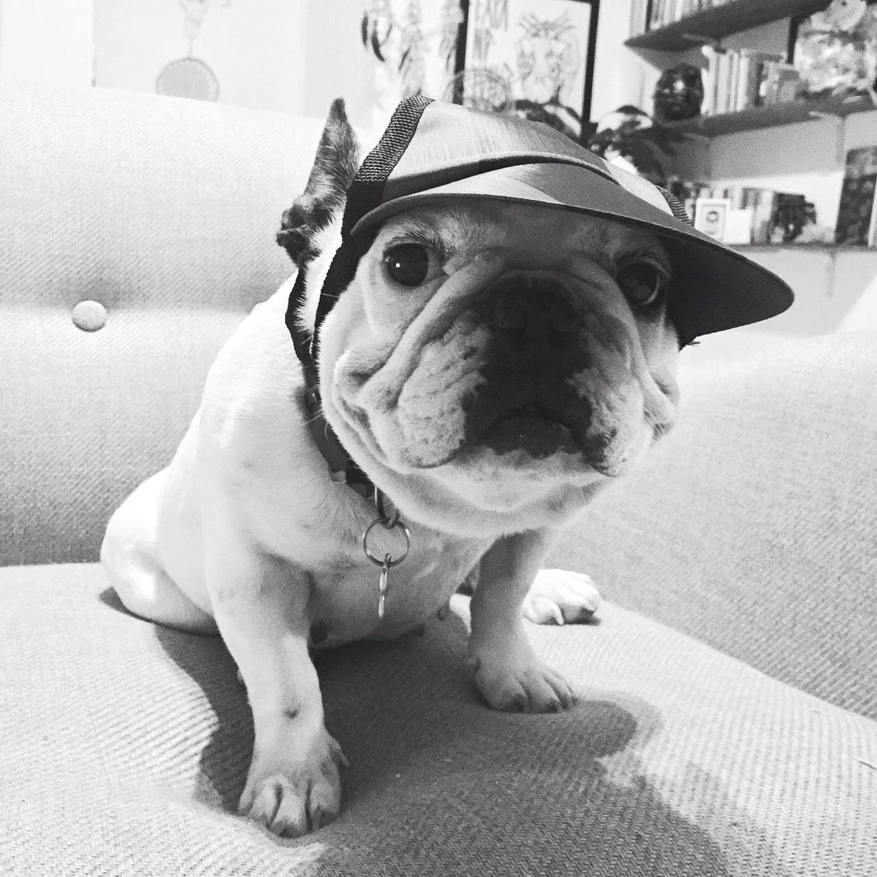 tumblr_nl55pgsBuc1rnczwao1_1280