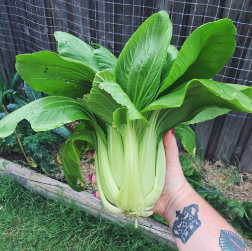 tumblr_nl8f08bFMm1rnczwao1_500