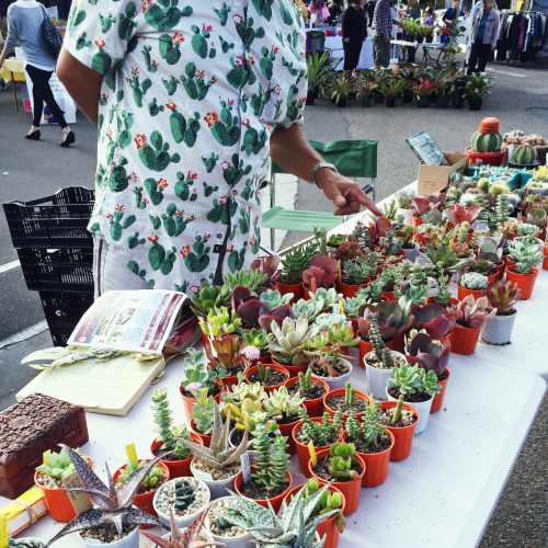 tumblr_nly3reS6031rnczwao1_500