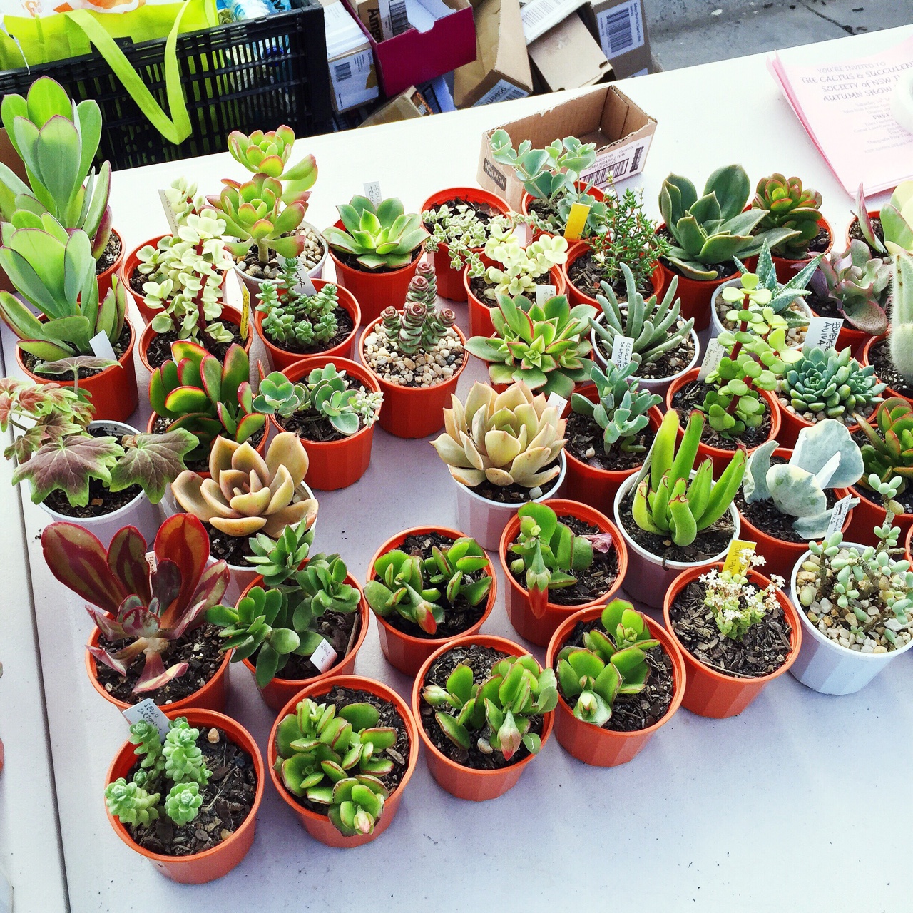 tumblr_nly3reS6031rnczwao2_1280