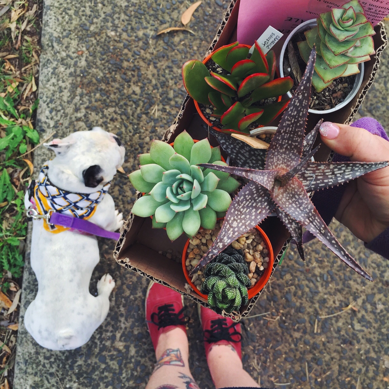 tumblr_nly3reS6031rnczwao3_1280