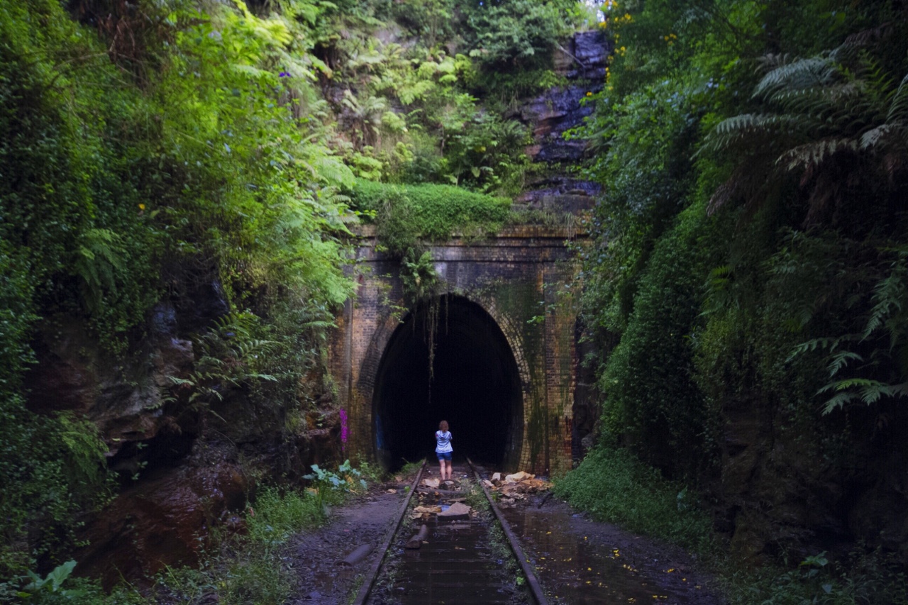 tumblr_nmbyw2tYLA1rnczwao1_1280