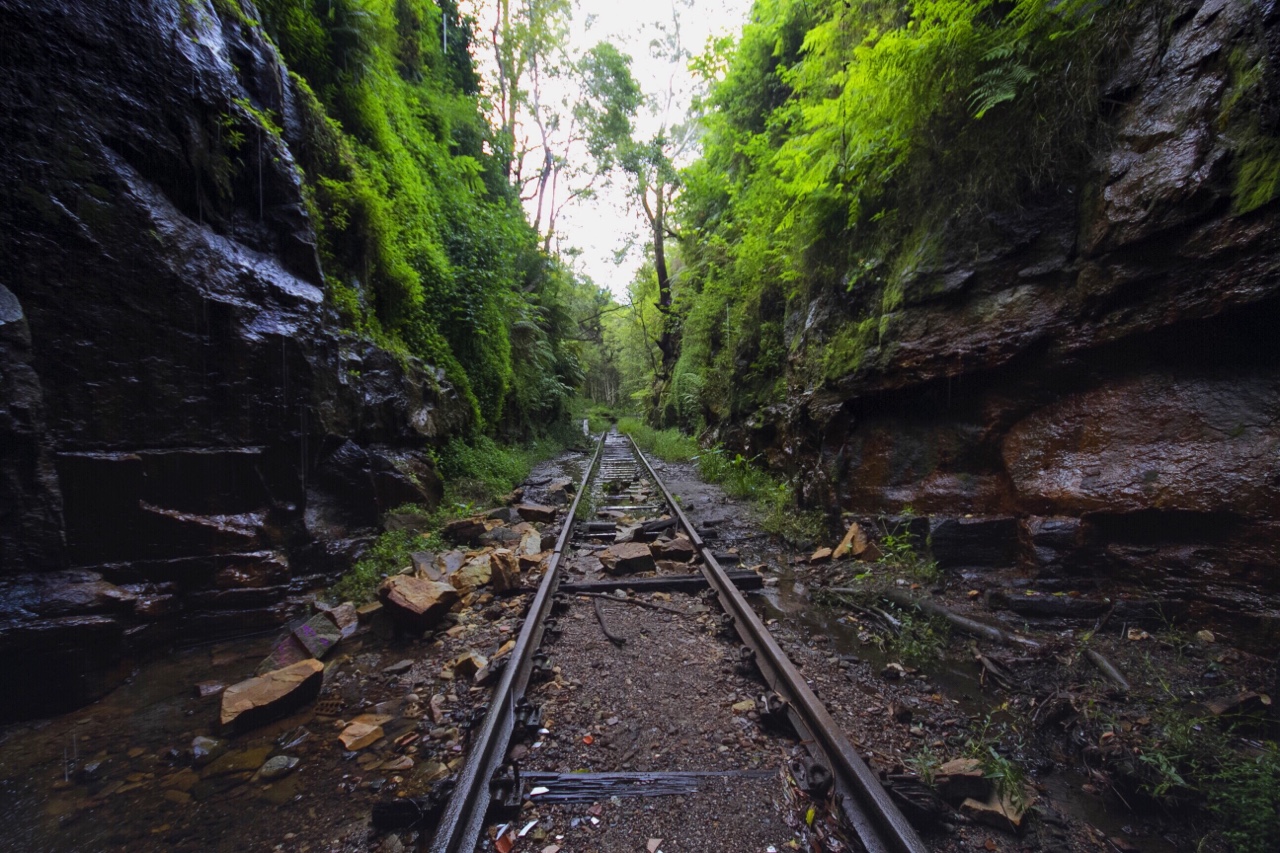 tumblr_nmbyw2tYLA1rnczwao4_1280